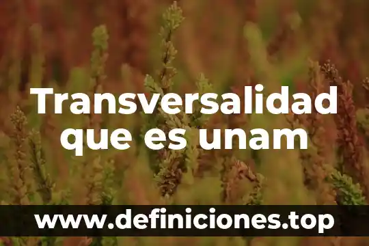Que es una artista unam 6 Transversalidad que es unam