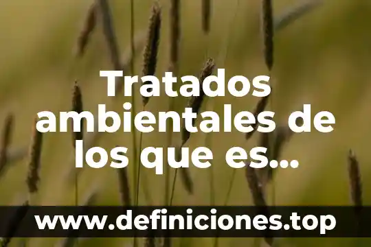 Aláikum as-salam que es en español 6 Tratados ambientales de los que es parte Israel