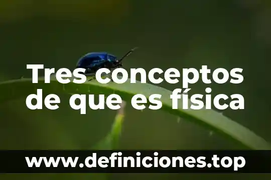 Qué es planeación conceptos 3 Tres conceptos de que es física