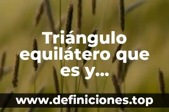 Que es la abstraccion geometrica y sus caracteristicas 5 Triángulo equilátero que es y características