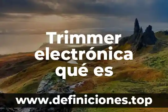 La firma electronica fiel del sat para que es 6 Trimmer electrónica qué es