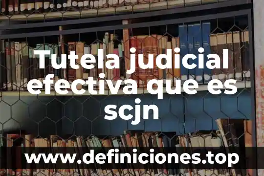 Que es un embargo precautorio scjn fiscal 4 Tutela judicial efectiva que es scjn