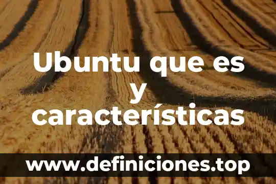 Que es el absolutismo europeo y sus caracteristicas 3 Ubuntu que es y características