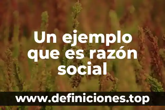 Que es clase rupos social 5 Un ejemplo que es razón social