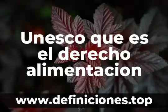 Por que es importante saber sobre los puntos de unesco 6 Unesco que es el derecho alimentacion