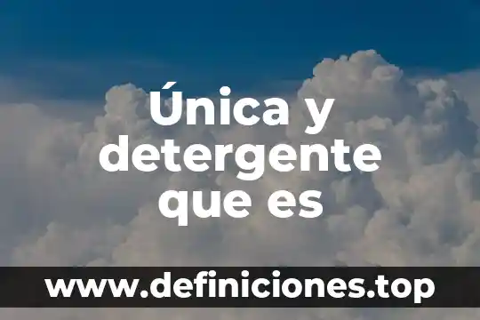 Que es un tabla dentro de una base de datos 8 Única y detergente que es