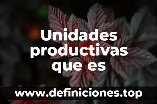 Unidades productivas que es