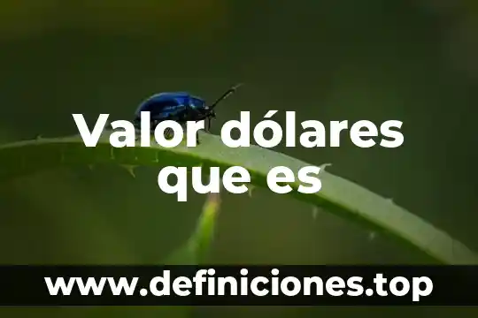 Que es la responsabilidad en valor 6 Valor dólares que es