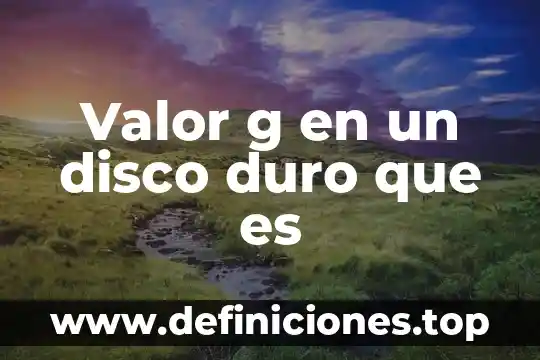 Que es el valor economico de un bien 5 Valor g en un disco duro que es