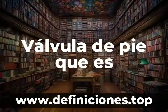 Que es una certificacion c tpat 5 VƔlvula de pie que es