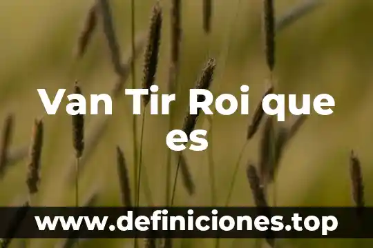 Que es el van y el tir ejemplos 3 Van Tir Roi que es