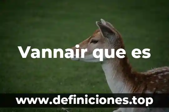 Vannair que es