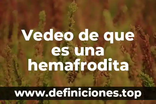 Que es un electroiman y de que depende su fuerza 3 Vedeo de que es una hemafrodita