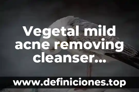 Vegetal mild acne removing cleanser mumuso para que es