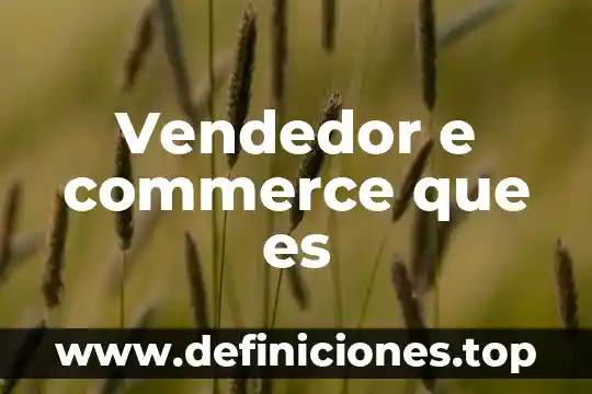 Vendedor asertivo que es 3 Vendedor e commerce que es