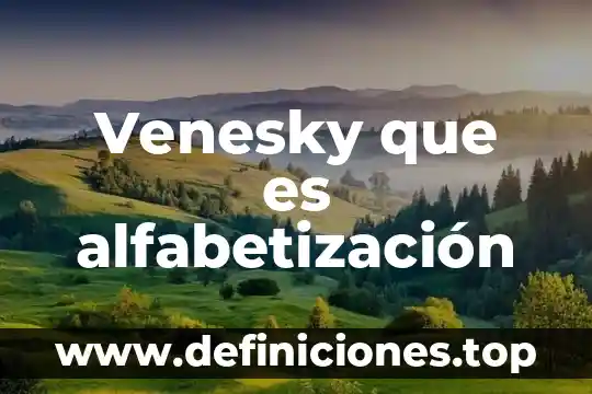 Día internacional de la alfabetización que es 4 Venesky que es alfabetización