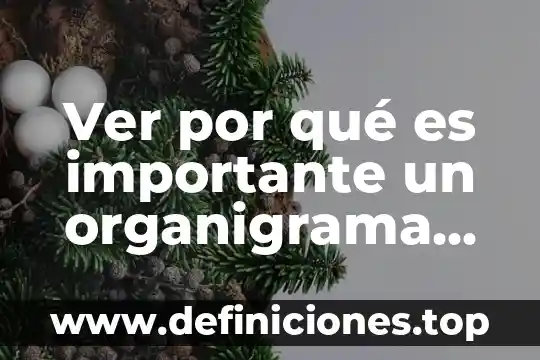 Que es un analisis vertical 5 Ver por qué es importante un organigrama vertical