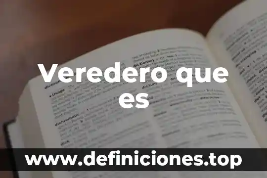 R.e.c que es 3 Veredero que es