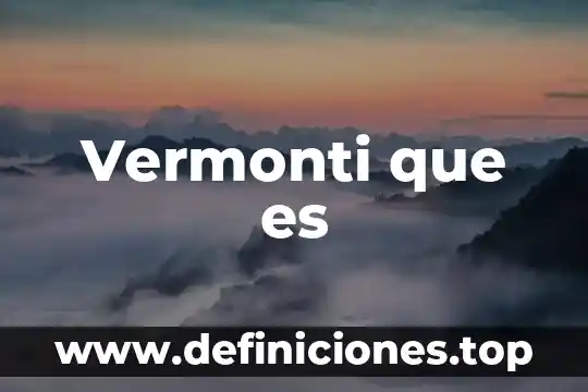 Vermonti que es