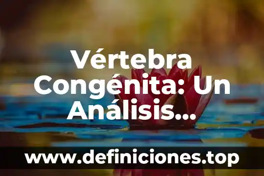 Que es lo mas profundo del mar 3 Vértebra Congénita: Un Análisis Profundo