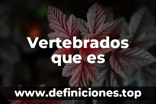 Que es kde de educacion 5 Vertebrados que es