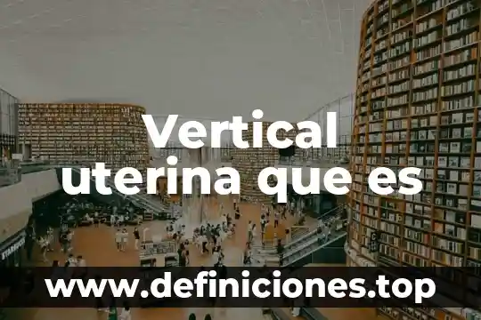 Que es un analisis vertical 3 Vertical uterina que es