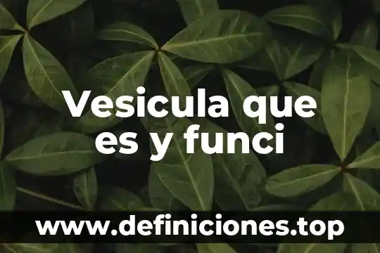 Que es una vesícula cubierta en un sistema endomembranoso 7 Vesicula que es y funci