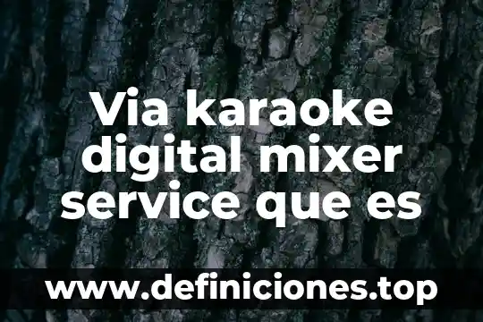 Via karaoke digital mixer service que es