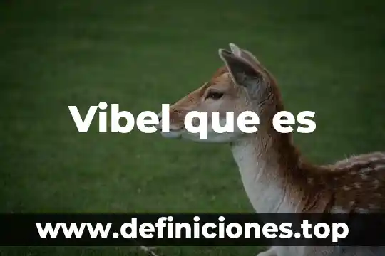 Que es operaciones productivas 4 Vibel que es