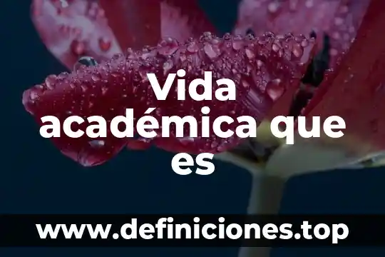 Que es el ciclo de vida de itil 4 Vida académica que es