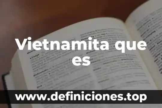 Zosan que es 4 Vietnamita que es