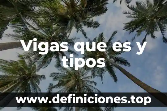 Vigas que es y tipos
