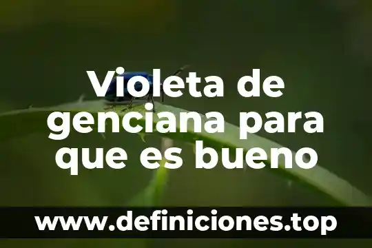 Violeta de genciana para que es bueno