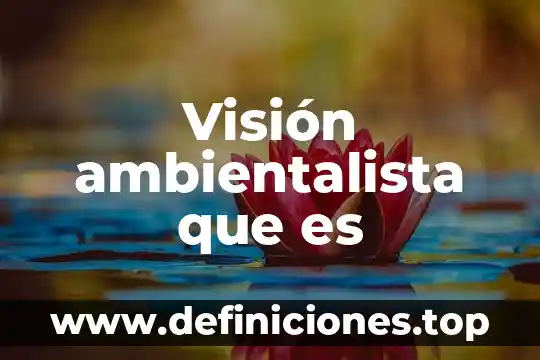 Visión ambientalista que es