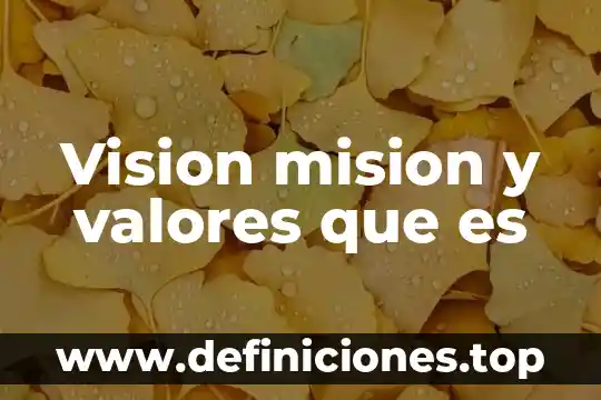 Vision mision y valores que es