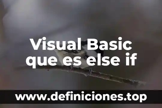 Que es la conversión de datos en visual basic 8 Visual Basic que es else if