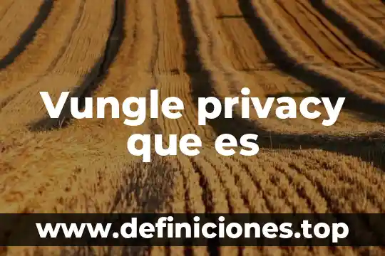 Vungle privacy que es