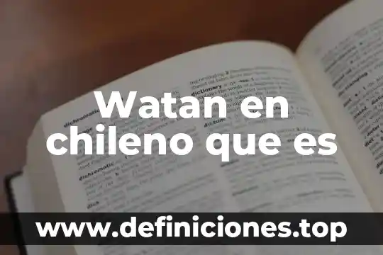 Watan en chileno que es