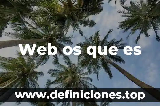Por que es importante el diseño en un sitio web 4 Web os que es