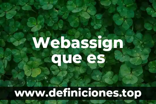Zapato de piel que es 6 Webassign que es