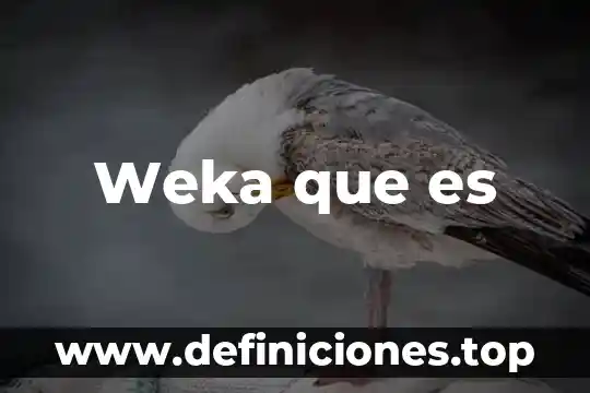 Que es una delimitacion del problema ejemplo 8 Weka que es
