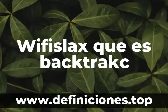 R.e.c que es 6 Wifislax que es backtrakc