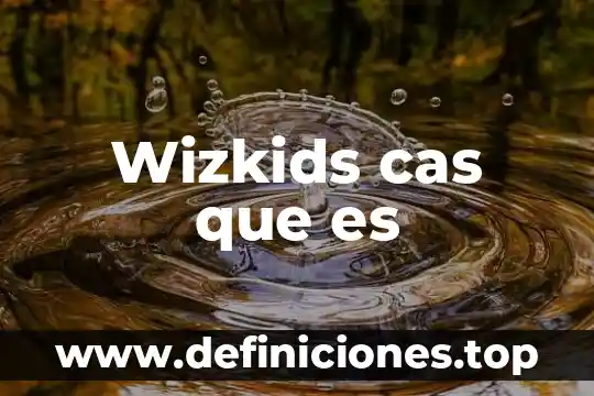 Wizkids cas que es