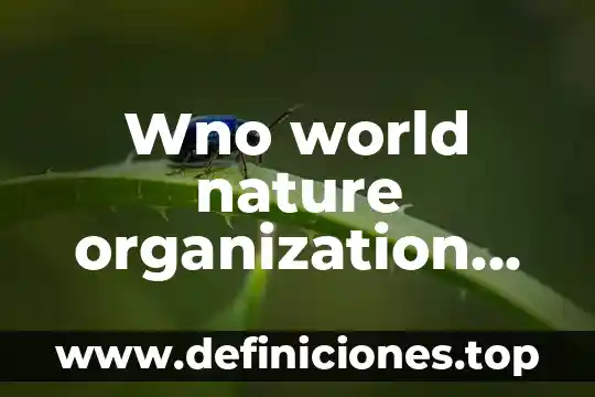 World que es vol 6 Wno world nature organization que es