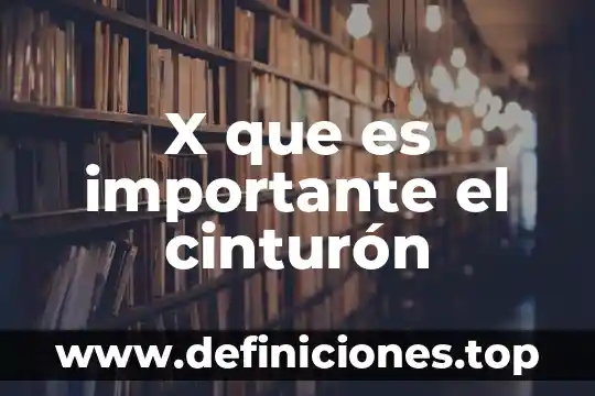 Teoria x douglas mcgregor que es 8 X que es importante el cinturón