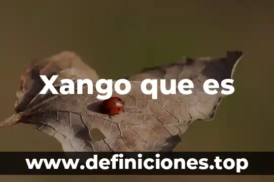 Zosan que es 3 Xango que es