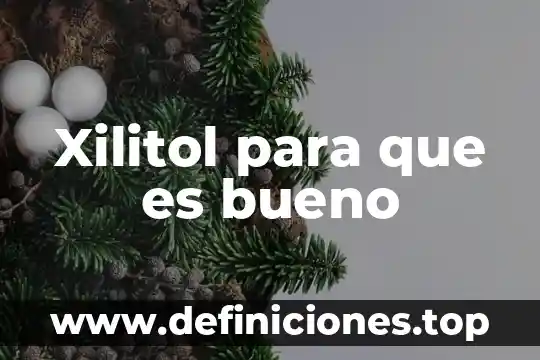 Que es la hora en word 5 Xilitol para que es bueno