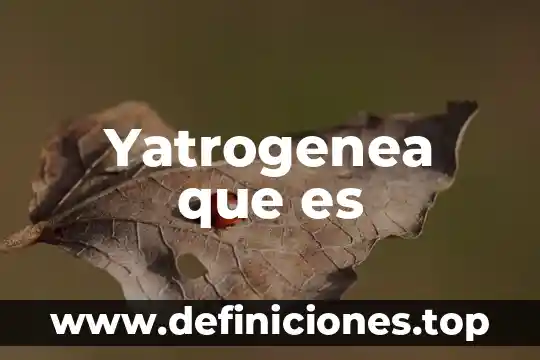 Que es la unidad principal computadora 3 Yatrogenea que es