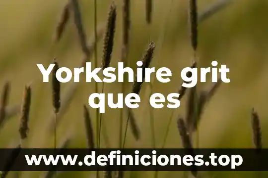 Que es operaciones productivas 5 Yorkshire grit que es