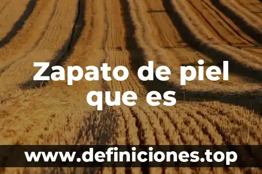 Webassign que es 6 Zapato de piel que es